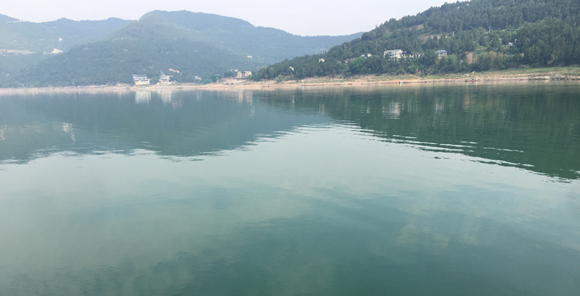背景.png